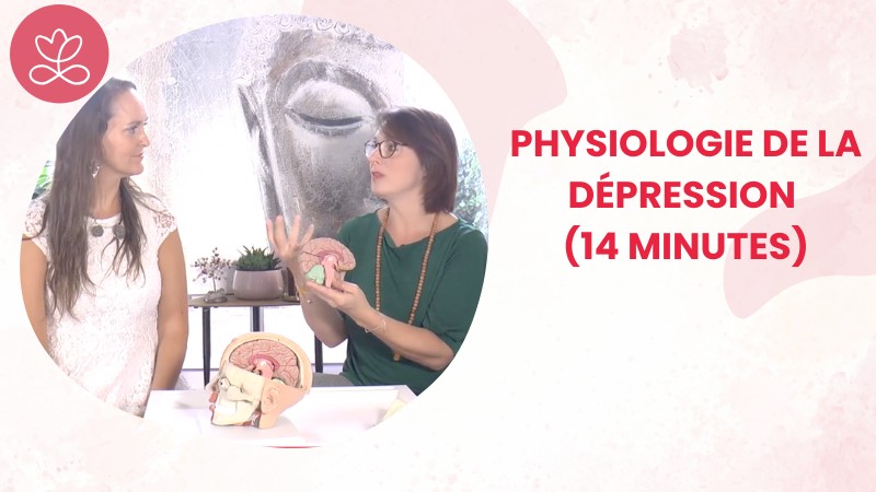 Jour 4 - Physiologie de la dépression (14 minutes)